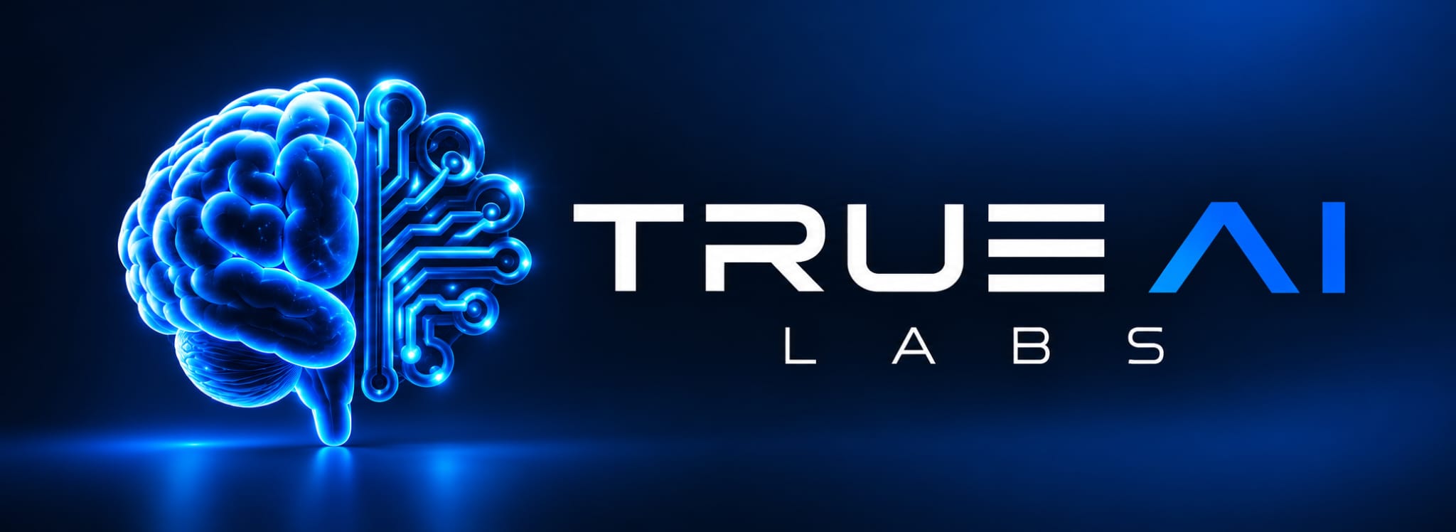 TrueAILabs